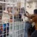 Adityapur clash in wine shop : आदित्यपुर रेल अंडरब्रिज के पास खुली शराब दुकान में मारपीट का विडियो वायरल, रेल भूमि में बने अवैध भवन में हाल ही शिफ्ट हुई है शराब दुकान, देखें video