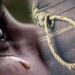 Jamshedpur rural school girl suicide : घर से दो किमी दूर पेड़ से लटका मिला बोड़ाम के नूतनडीह गांव की छात्रा का शव, 21 मई को तालाब में नहाने गई छात्रा नहीं लौटी घर, चौथे दिन शव पेड़ से लटका मिलने से पूरे गांव में शोक की लहर