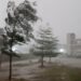 Jamshedpur rural rain : गालूडीह क्षेत्र में हल्की आंधी एवं बारिश से मौसम हुआ सुहाना, भीषण गर्मी में बेहाल हो रहे आम लोगों ने ली राहत की सांस