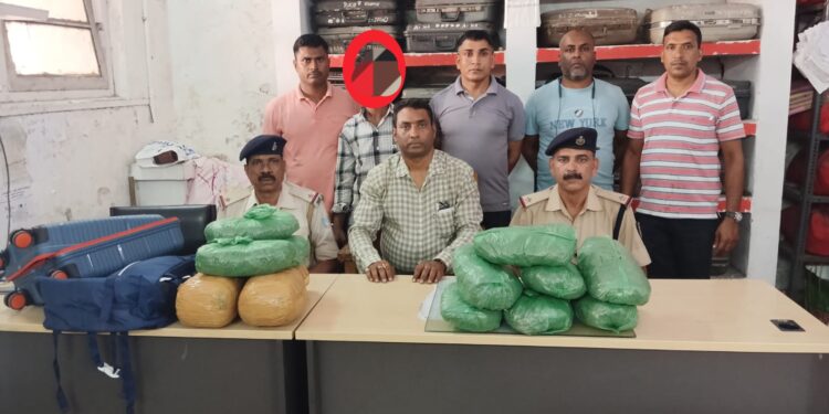 tatanagar rpf success : टाटानगर से 15 किलो गांजा के साथ एक गिरफ्तार, चंपारण का है आरोपी