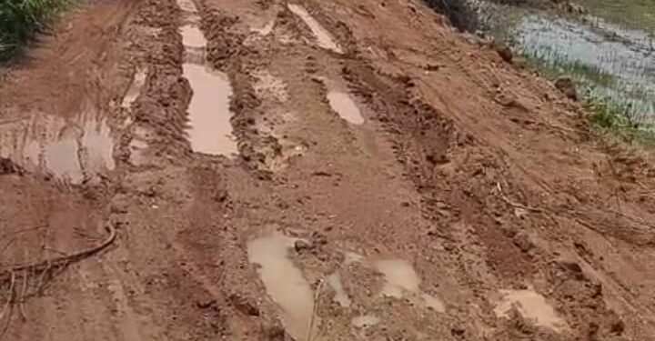 jamshedpur rural- चाकुलिया के जमुनाभूला से मिश्रीकाटा जाने वाली कच्ची सड़क बदहाल, विधायक से स्लैग डलवाने की मांग