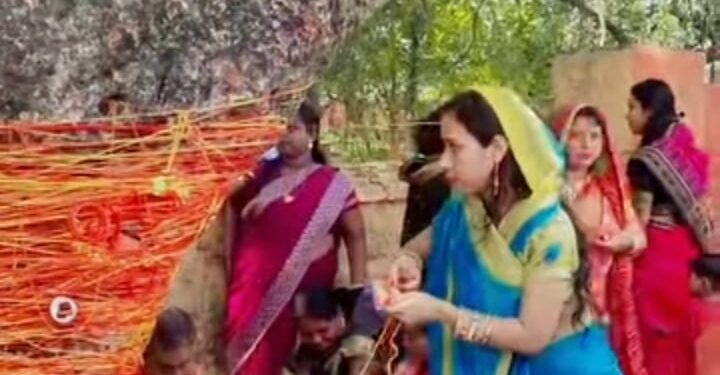 jamshedpur rural- चाकुलिया में सुहागिनों ने वट सावित्री व्रत रखा, वट वृक्ष की पूजा की, अखंड सौभाग्य का मांगा वर