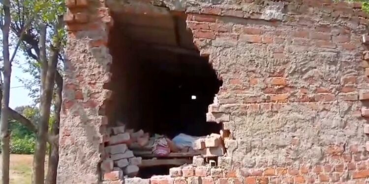 Saraikela elephant terror : ईचाडीह में जगंली हाथी के उत्पात से लोगों में दहशत, घर तोड़ा, महिला घायल