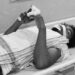 Saraikela chandil accident : चांडिल में अज्ञात वाहन की चपेट में आने से युवक घायल, ड्यूटी से घर लौटने के दौरान हुआ हादसा Saraikela chandil accident : चांडिल में अज्ञात वाहन की चपेट में आने से युवक घायल, ड्यूटी से घर लौटने के दौरान हुआ हादसा
