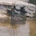 Jamshedpur newborn body found – बड़ौदा घाट में नवजात का क्षत-विक्षत शव बरामद, क्षेत्र में सनसनी Jamshedpur newborn body found – बड़ौदा घाट में नवजात का क्षत-विक्षत शव बरामद, क्षेत्र में सनसनी