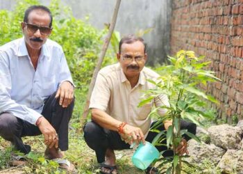 jamshedpur jugsalai mla- विश्व पर्यावरण दिवस पर जुगसलाई विधायक मंगल कालिंदी ने किया पौधरोपण,पर्यावरण संरक्षण का दिया संदेश