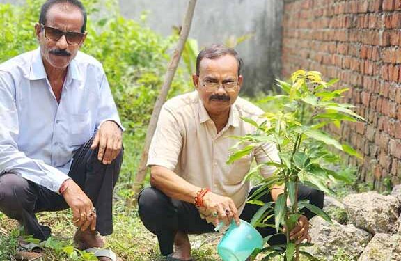 jamshedpur jugsalai mla- विश्व पर्यावरण दिवस पर जुगसलाई विधायक मंगल कालिंदी ने किया पौधरोपण,पर्यावरण संरक्षण का दिया संदेश