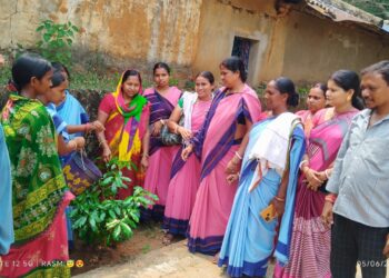 jamshedpur rural- बहरागोड़ा के मानुषमुड़िया पंचायत भवन परिसर में जन प्रतिनिधियों ने किया पौधरोपण, पर्यावरण संरक्षण का लिया संकल्प