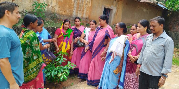 jamshedpur rural- बहरागोड़ा के मानुषमुड़िया पंचायत भवन परिसर में जन प्रतिनिधियों ने किया पौधरोपण, पर्यावरण संरक्षण का लिया संकल्प