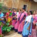 jamshedpur rural- बहरागोड़ा के मानुषमुड़िया पंचायत भवन परिसर में जन प्रतिनिधियों ने किया पौधरोपण, पर्यावरण संरक्षण का लिया संकल्प