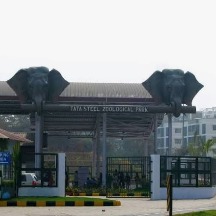 Jamshedpur zoo sad news : टाटा स्टील जुलोजिकल पार्क की शेरनी जोया की मौत, गम का माहौल Jamshedpur zoo sad news : टाटा स्टील जुलोजिकल पार्क की शेरनी जोया की मौत, गम का माहौल
