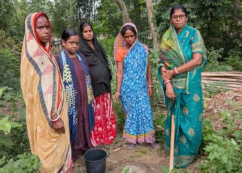 jamshedpur rural world environment day- पूर्वी सिंहभूम भाजपा महिला मोर्चा ने मनाया विश्व पर्यावरण दिवस, पर्यावरण संरक्षण का दिया संदेश