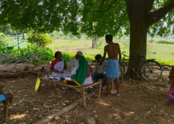 jamshedpur rural- गालूडीह के ग्रामीण इलाकों में मलेरिया का प्रकोप, स्वास्थ्य विभाग अलर्ट