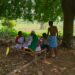 jamshedpur rural- गालूडीह के ग्रामीण इलाकों में मलेरिया का प्रकोप, स्वास्थ्य विभाग अलर्ट