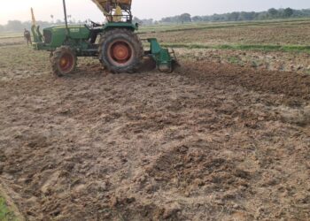 jamshedpur rural-बहरागोड़ा और चाकुलिया के खेतों में लौटी रौनक, खेती कार्यों ने पकड़ी रफ्तार, धान का बिचड़ा तैयार करने में जुटे किसान jamshedpur rural-बहरागोड़ा और चाकुलिया के खेतों में लौटी रौनक, खेती कार्यों ने पकड़ी रफ्तार, धान का बिचड़ा तैयार करने में जुटे किसान
