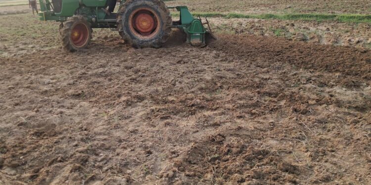jamshedpur rural-बहरागोड़ा और चाकुलिया के खेतों में लौटी रौनक, खेती कार्यों ने पकड़ी रफ्तार, धान का बिचड़ा तैयार करने में जुटे किसान jamshedpur rural-बहरागोड़ा और चाकुलिया के खेतों में लौटी रौनक, खेती कार्यों ने पकड़ी रफ्तार, धान का बिचड़ा तैयार करने में जुटे किसान