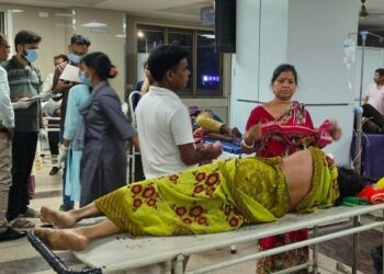 saraikela ichagarh snakebite- ईचागढ में घर में काम कर रही महिला को सांप ने डसा, एमजीएम में भर्ती, स्थिति खतरे से बाहर
