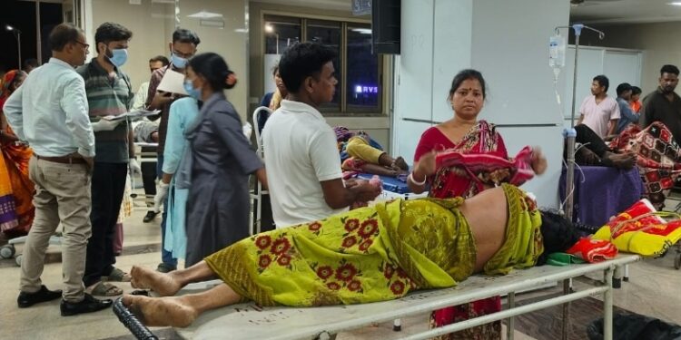 saraikela ichagarh snakebite- ईचागढ में घर में काम कर रही महिला को सांप ने डसा, एमजीएम में भर्ती, स्थिति खतरे से बाहर saraikela ichagarh snakebite- ईचागढ में घर में काम कर रही महिला को सांप ने डसा, एमजीएम में भर्ती, स्थिति खतरे से बाहर