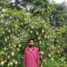 jamshedpur rural- आम बागवानी से छोलागोड़ा के युवा किसान बना आत्मनिर्भर, बागवानी से आर्थिक स्थिति मजबूत jamshedpur rural- आम बागवानी से छोलागोड़ा के युवा किसान बना आत्मनिर्भर, बागवानी से आर्थिक स्थिति मजबूत