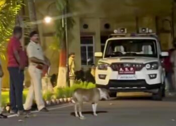 jamshedpur police action- टेल्को में महिला से छिनतई, शोर मचाने के बाद पुलिस ने बदमाशों का किया पीछा, खुद को बचाने के लिए बदमाशों ने की फायरिंग, दो को पुलिस ने धर दबोचा, अन्य की गिरफ्तारी के लिए चल रही है छापेमारी jamshedpur police action- टेल्को में महिला से छिनतई, शोर मचाने के बाद पुलिस ने बदमाशों का किया पीछा, खुद को बचाने के लिए बदमाशों ने की फायरिंग, दो को पुलिस ने धर दबोचा, अन्य की गिरफ्तारी के लिए चल रही है छापेमारी