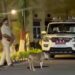 jamshedpur police action- टेल्को में महिला से छिनतई, शोर मचाने के बाद पुलिस ने बदमाशों का किया पीछा, खुद को बचाने के लिए बदमाशों ने की फायरिंग, दो को पुलिस ने धर दबोचा, अन्य की गिरफ्तारी के लिए चल रही है छापेमारी jamshedpur police action- टेल्को में महिला से छिनतई, शोर मचाने के बाद पुलिस ने बदमाशों का किया पीछा, खुद को बचाने के लिए बदमाशों ने की फायरिंग, दो को पुलिस ने धर दबोचा, अन्य की गिरफ्तारी के लिए चल रही है छापेमारी