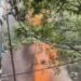 Delhi restaurant fire-दिल्ली के मालवीय नगर में एक रेस्तरां में लगी आग, 21 लोगों की मौत, 40 से ज्यादा लोगों को बचाया गया Delhi restaurant fire-दिल्ली के मालवीय नगर में एक रेस्तरां में लगी आग, 21 लोगों की मौत, 40 से ज्यादा लोगों को बचाया गया