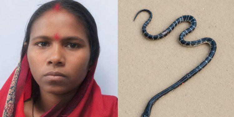 Jamshedpur snake bite – गालूडीह में जमीन पर सो रही महिला को सांप ने डंसा, मौत Jamshedpur snake bite – गालूडीह में जमीन पर सो रही महिला को सांप ने डंसा, मौत