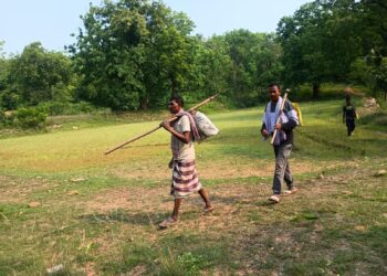 Jamshedpur rural – जादूगोड़ा के आदिवासी युवाओं ने मनाया शिकार पर्व,  मरांग बुरु से मांगी  बारिश व बेहतर खेती की मन्नतें