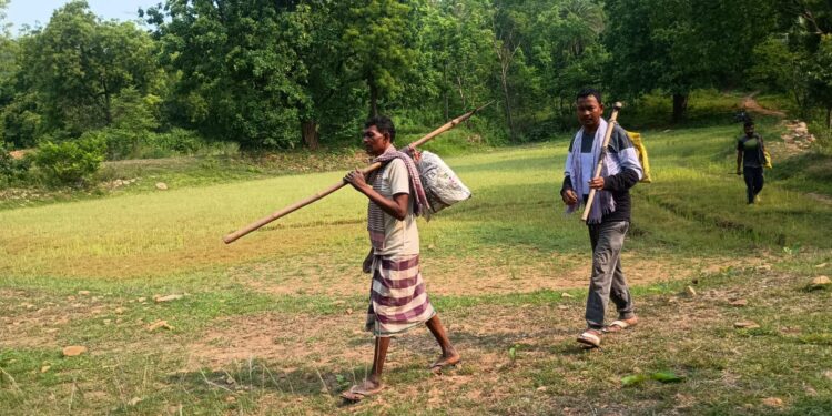 Jamshedpur rural – जादूगोड़ा के आदिवासी युवाओं ने मनाया शिकार पर्व,  मरांग बुरु से मांगी  बारिश व बेहतर खेती की मन्नतें
