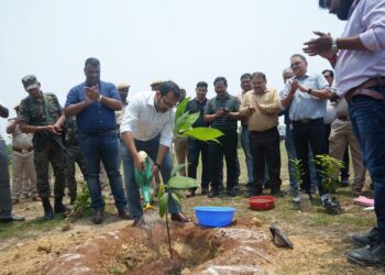 Jamshedpur tata steel uisl plantation campaign : विश्व पर्यावरण दिवस पर टाटा स्टील यूआइएसएल ने लगाए 1,000 पौधे, विभिन्न संस्थाओं व कंपनियों में भी 800 पौधे किये वितरित