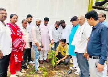 Jamshedpur bjp obc morcha plantation : विश्व पर्यावरण दिवस पर जमशेदपुर महानगर भाजपा ओबीसी मोर्चा ने किया पौधारोपण, कार्यकर्ताओं ने पर्यावरण संरक्षण के प्रति दोहराई प्रतिबद्धता