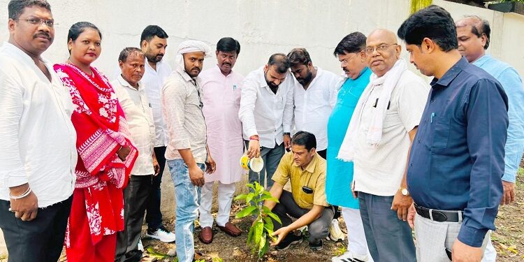 Jamshedpur bjp obc morcha plantation : विश्व पर्यावरण दिवस पर जमशेदपुर महानगर भाजपा ओबीसी मोर्चा ने किया पौधारोपण, कार्यकर्ताओं ने पर्यावरण संरक्षण के प्रति दोहराई प्रतिबद्धता