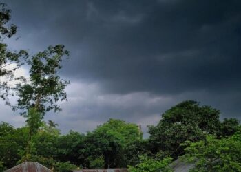 Jamshedpur rural rains : घाटशिला प्रखंड क्षेत्र में भीषण गर्मी के बाद रिमझिम बारिश, मौसम हुआ सुहाना, गर्मी से मिली राहत, किसानों में भी खुशी Jamshedpur rural rains : घाटशिला प्रखंड क्षेत्र में भीषण गर्मी के बाद रिमझिम बारिश, मौसम हुआ सुहाना, गर्मी से मिली राहत, किसानों में भी खुशी