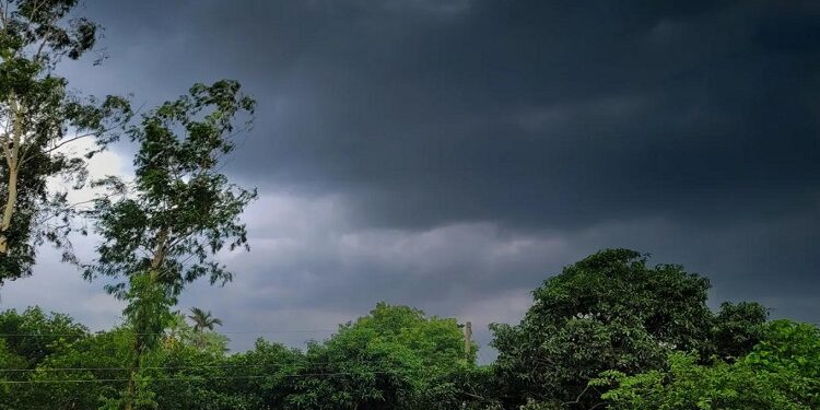 Jamshedpur rural rains : घाटशिला प्रखंड क्षेत्र में भीषण गर्मी के बाद रिमझिम बारिश, मौसम हुआ सुहाना, गर्मी से मिली राहत, किसानों में भी खुशी Jamshedpur rural rains : घाटशिला प्रखंड क्षेत्र में भीषण गर्मी के बाद रिमझिम बारिश, मौसम हुआ सुहाना, गर्मी से मिली राहत, किसानों में भी खुशी