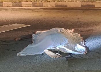 Chandil one died in road accident : चांडिल में एनएच 33 पर सड़क हादसे में युवक की दर्दनाक मौत, अज्ञात वाहन के धक्का मारने से हुआ हादसा, दुर्घटना के बाद चलक गाड़ी लेकर हुआ फरार