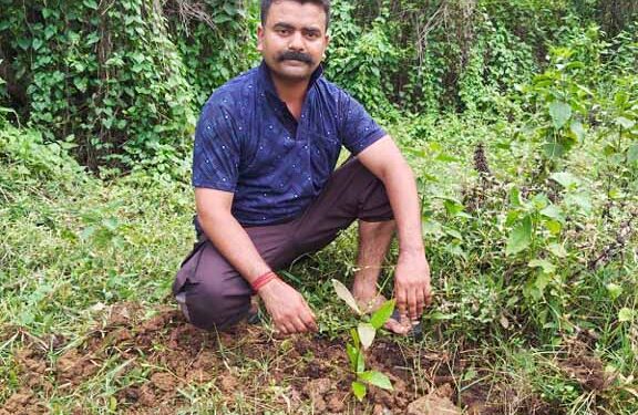 jamshedpur kowali world environment day- विश्व पर्यावरण दिवस पर कोवाली थाना परिसर में वृक्षारोपण, हरियाली का दिया संदेश