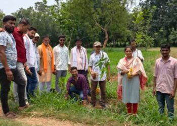 jamshedpur rural- विश्व पर्यावरण दिवस पर चाकुलिया गौशाला परिसर में भाजपाइयों ने किया पौधरोपण