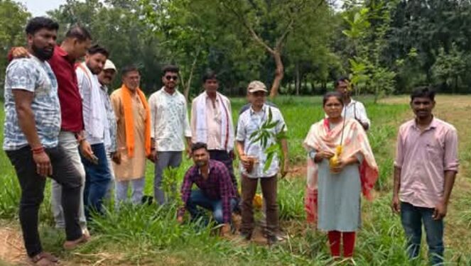jamshedpur rural- विश्व पर्यावरण दिवस पर चाकुलिया गौशाला परिसर में भाजपाइयों ने किया पौधरोपण