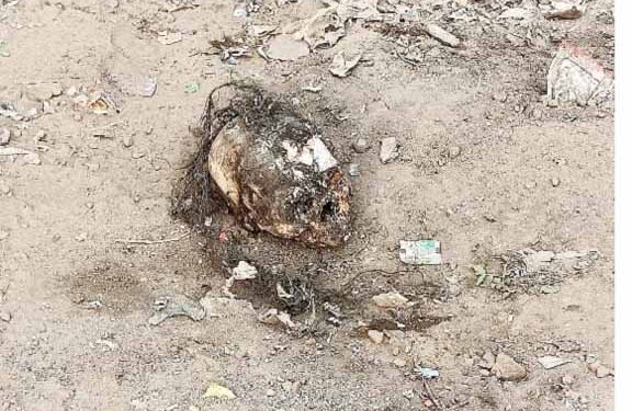 west singhbhum ckp skeleton -चक्रधरपुर में मालगोदाम के पास चल रहे निर्माण कार्य के दौरान कंकाल मिलने से सनसनी, मामले की जांच में जुटी पुलिस west singhbhum ckp skeleton -चक्रधरपुर में मालगोदाम के पास चल रहे निर्माण कार्य के दौरान कंकाल मिलने से सनसनी, मामले की जांच में जुटी पुलिस