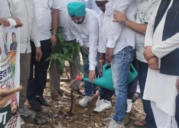 jamshedpur congress : जमशेदपुर में कांग्रेस ने मनाया नेता प्रतिपक्ष राहुल गांधी का जन्मदिन, लगाया गया पेड़ jamshedpur congress : जमशेदपुर में कांग्रेस ने मनाया नेता प्रतिपक्ष राहुल गांधी का जन्मदिन, लगाया गया पेड़