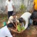 jamshedpur rural world environment day- विश्व पर्यावरण दिवस पर चाकुलिया थाना परिसर में विधायक ने किया पौधरोपण,पर्यावरण संरक्षण का दिया संदेश