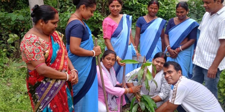 jamshedpur rural- महुलिया में विश्व पर्यावरण दिवस पर जनप्रतिनिधियों ने किया पौधरोपण,पर्यावरण संरक्षण का दिया संदेश