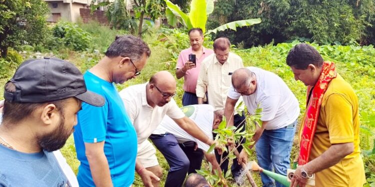 jamshedpur World Environment Day- मारवाड़ी सम्मेलन भालूबासा शाखा ने गांधी आश्रम में लगाए पांच पौधे