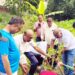 jamshedpur World Environment Day- मारवाड़ी सम्मेलन भालूबासा शाखा ने गांधी आश्रम में लगाए पांच पौधे
