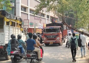 Jamshedpur incident : डिमना चौक से एमजीएम अस्पताल जाने वाले में रास्ते में गिरा पेड़, आवागमन प्रभावित