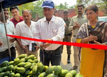 Jharkhand palamu mango stalls : पलामू में जेएसएलपीएस ने किया आम बिक्री केंद्र का शुभारंभ, किसानों एवं महिलाओं को मिलेगा बेहतर बाजार