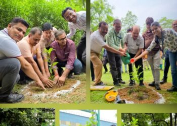 Tata steel hsm environment day : टाटा स्टील के एचएसएम जेडीसी ने मनाया पर्यावरण दिवस, मुख्य परिसर में लगाये पौधे