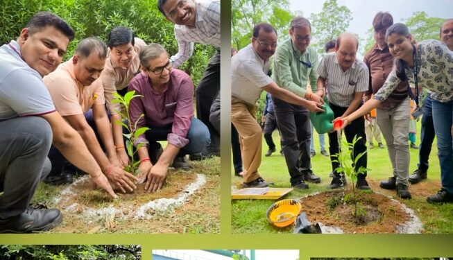 Tata steel hsm environment day : टाटा स्टील के एचएसएम जेडीसी ने मनाया पर्यावरण दिवस, मुख्य परिसर में लगाये पौधे