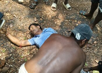 Jamshedpur rural elephant attack – सुनसुनिया रेलवे फाटक के समीप जंगली हाथी के हमले से एक शख्स घायल, अस्पताल में इलाजरत
