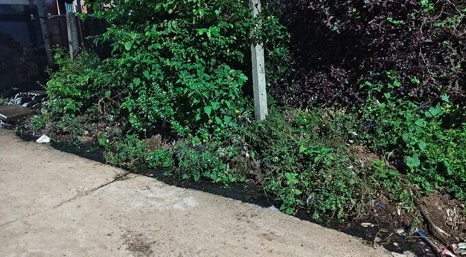Jamshedpur rural : चाकुलिया नगर पंचायत क्षेत्र में सफाई व्यवस्था पर सवाल, वार्ड टू में नाली बदहाल